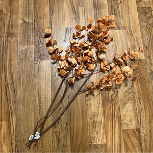 Magnolia Rustic Orange Eucalyptus Stems